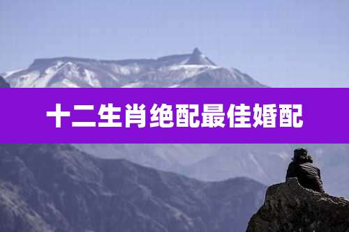 十二生肖绝配最佳婚配