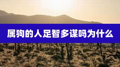 属狗的人足智多谋吗为什么