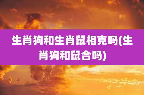 生肖狗和生肖鼠相克吗(生肖狗和鼠合吗)