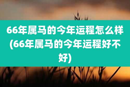66年属马的今年运程怎么样(66年属马的今年运程好不好)