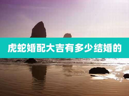 虎蛇婚配大吉有多少结婚的