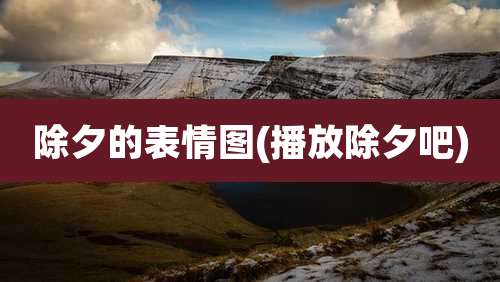 除夕的表情图(播放除夕吧)