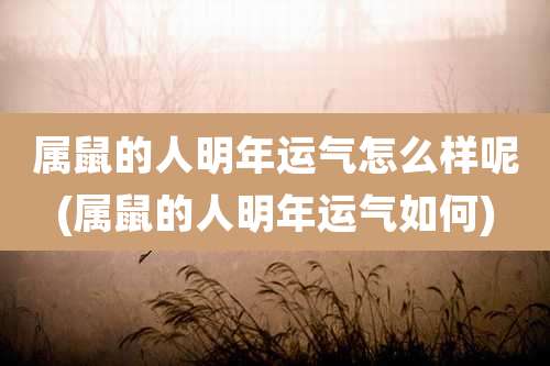 属鼠的人明年运气怎么样呢(属鼠的人明年运气如何)