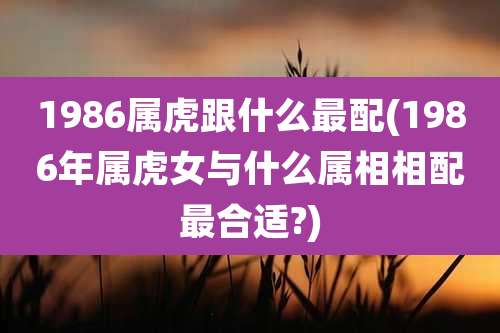 1986属虎跟什么最配(1986年属虎女与什么属相相配最合适?)