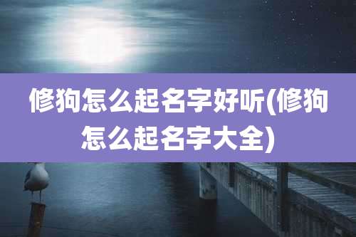 修狗怎么起名字好听(修狗怎么起名字大全)