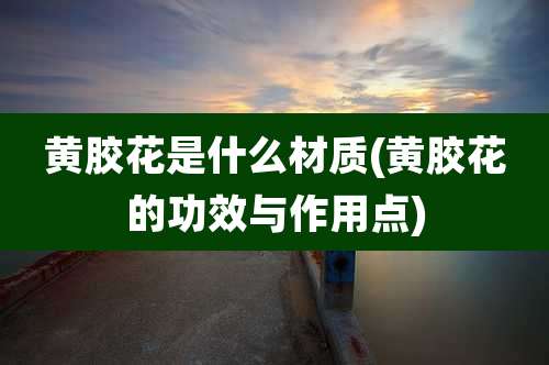 黄胶花是什么材质(黄胶花的功效与作用点)