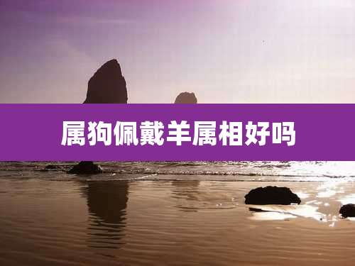 属狗佩戴羊属相好吗