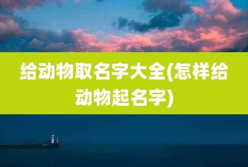 给动物取名字大全(怎样给动物起名字)