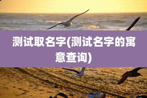 测试取名字(测试名字的寓意查询)