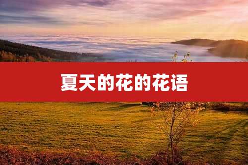 夏天的花的花语