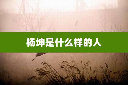 杨坤是什么样的人