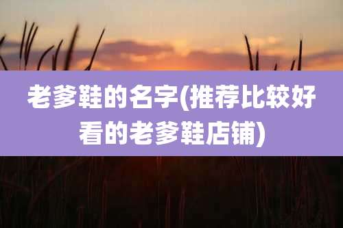 老爹鞋的名字(推荐比较好看的老爹鞋店铺)