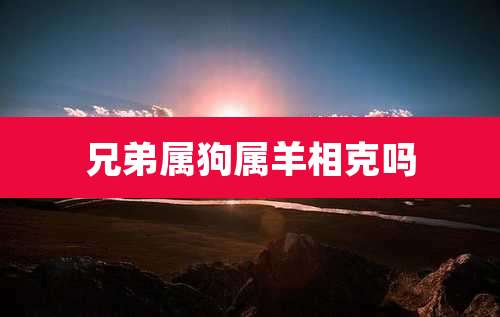 兄弟属狗属羊相克吗
