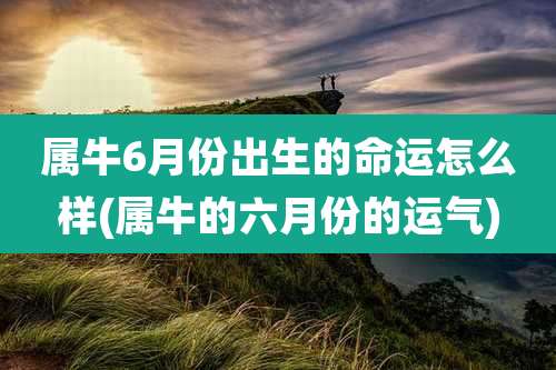 属牛6月份出生的命运怎么样(属牛的六月份的运气)