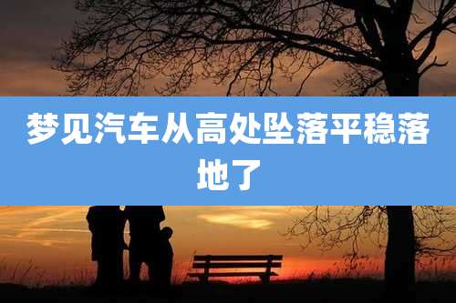梦见汽车从高处坠落平稳落地了