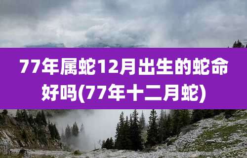 77年属蛇12月出生的蛇命好吗(77年十二月蛇)
