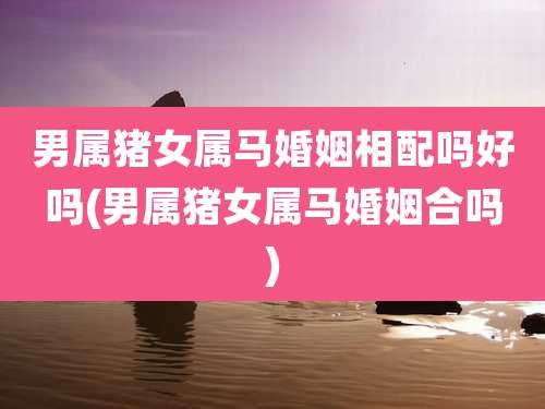 男属猪女属马婚姻相配吗好吗(男属猪女属马婚姻合吗)