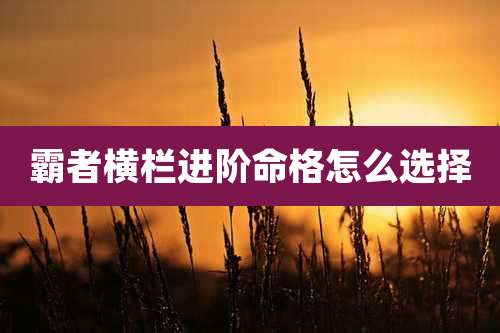 霸者横栏进阶命格怎么选择