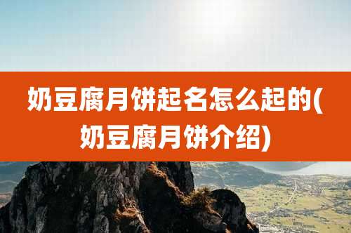 奶豆腐月饼起名怎么起的(奶豆腐月饼介绍)