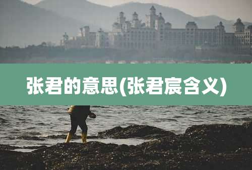 张君的意思(张君宸含义)