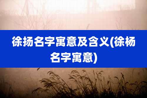 徐扬名字寓意及含义(徐杨名字寓意)