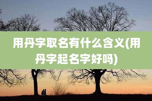 用丹字取名有什么含义(用丹字起名字好吗)