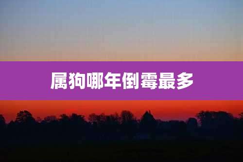 属狗哪年倒霉最多