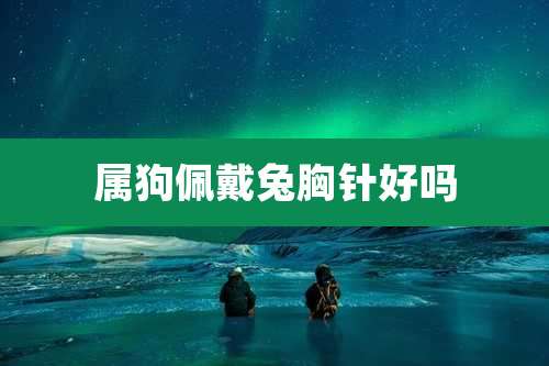 属狗佩戴兔胸针好吗