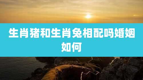 生肖猪和生肖兔相配吗婚姻如何