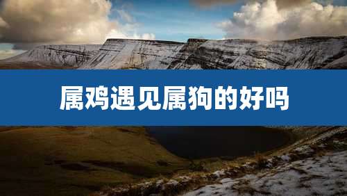 属鸡遇见属狗的好吗
