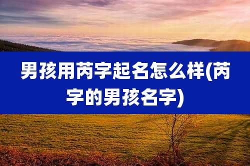 男孩用芮字起名怎么样(芮字的男孩名字)