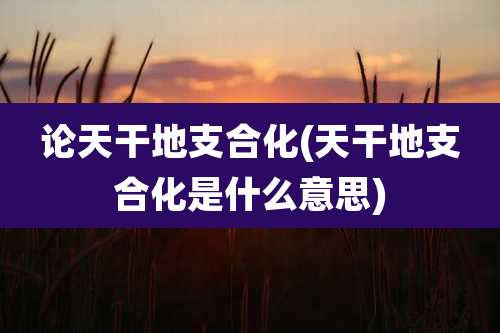 论天干地支合化(天干地支合化是什么意思)