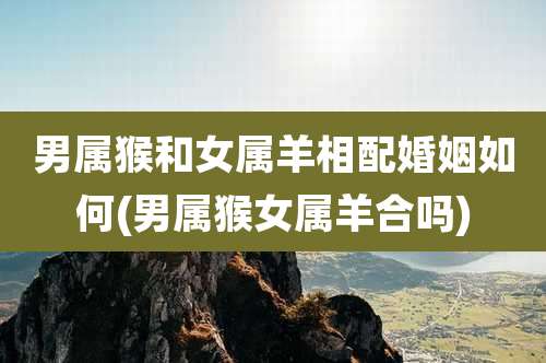 男属猴和女属羊相配婚姻如何(男属猴女属羊合吗)