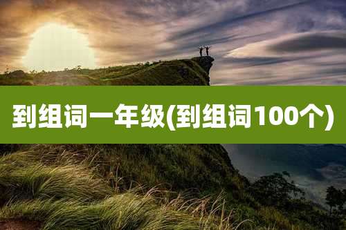 到组词一年级(到组词100个)