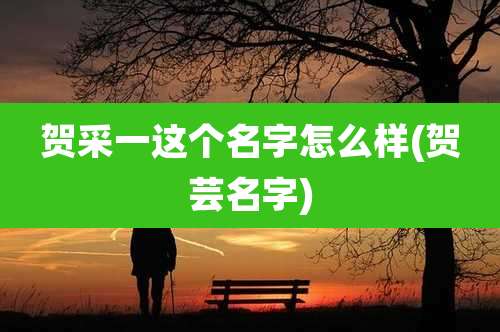 贺采一这个名字怎么样(贺芸名字)
