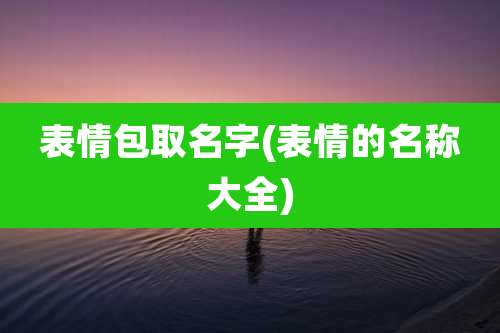 表情包取名字(表情的名称大全)