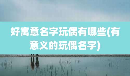 好寓意名字玩偶有哪些(有意义的玩偶名字)