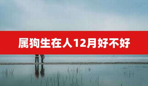 属狗生在人12月好不好