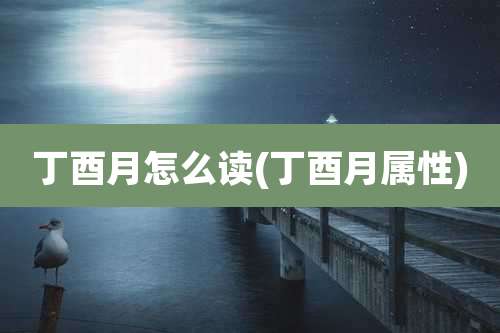 丁酉月怎么读(丁酉月属性)
