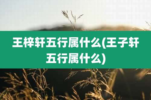 王梓轩五行属什么(王子轩五行属什么)