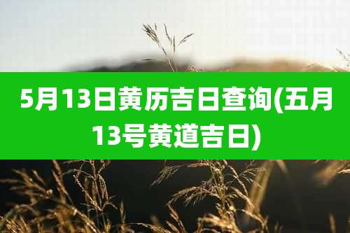 5月13日黄历吉日查询(五月13号黄道吉日)