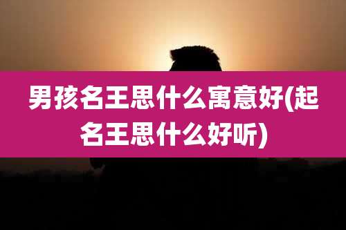 男孩名王思什么寓意好(起名王思什么好听)