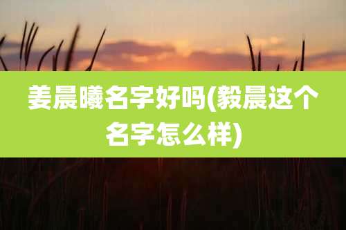 姜晨曦名字好吗(毅晨这个名字怎么样)
