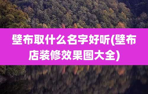 壁布取什么名字好听(壁布店装修效果图大全)