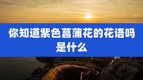 你知道紫色菖蒲花的花语吗是什么