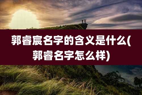 郭睿宸名字的含义是什么(郭睿名字怎么样)