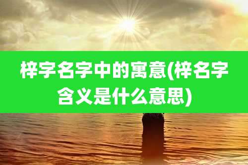 梓字名字中的寓意(梓名字含义是什么意思)