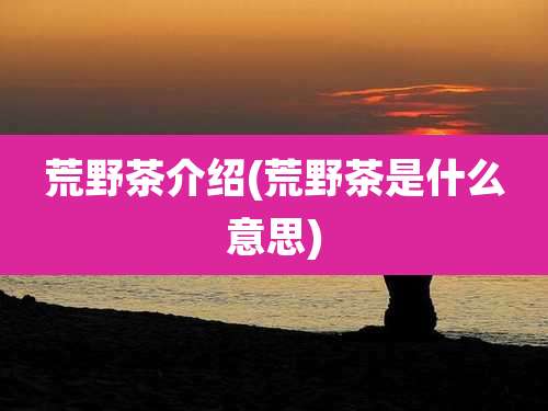 荒野茶介绍(荒野茶是什么意思)