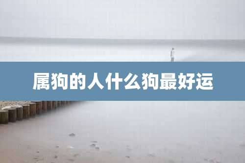 属狗的人什么狗最好运