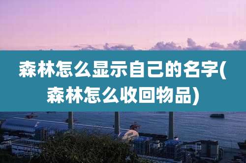 森林怎么显示自己的名字(森林怎么收回物品)